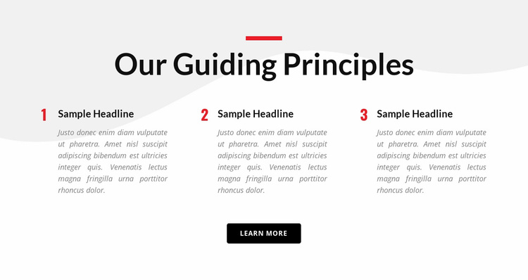 Our guiding principles Website Template