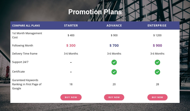 Our promotion plan Joomla Template