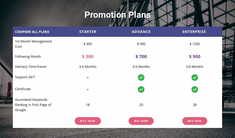 Our promotion plan Website Builder Templates