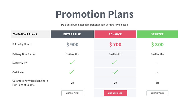 Promotion Plans WordPress Theme