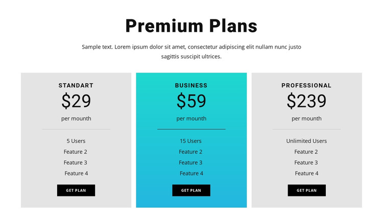 Premium Plans Web Design