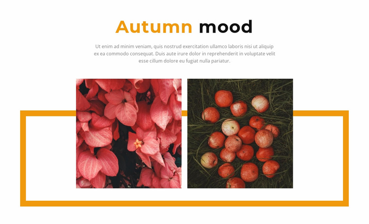 Autumn colors in the gallery Website Design
