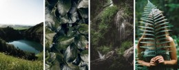 140 Nature CSS Templates
