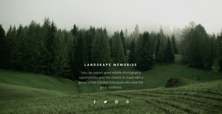 Forest landscape HTML5 Template