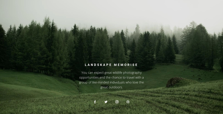 Forest landscape One Page Template