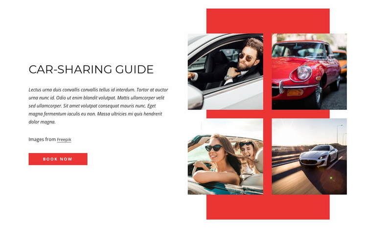 Car-sharing guide Landing Page