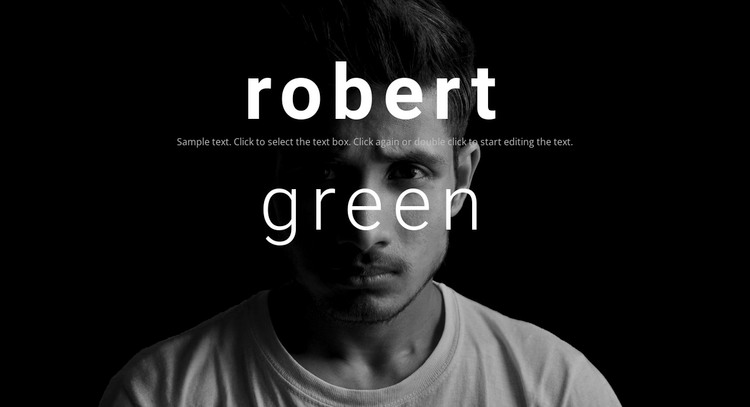 About Robert Green WordPress Theme