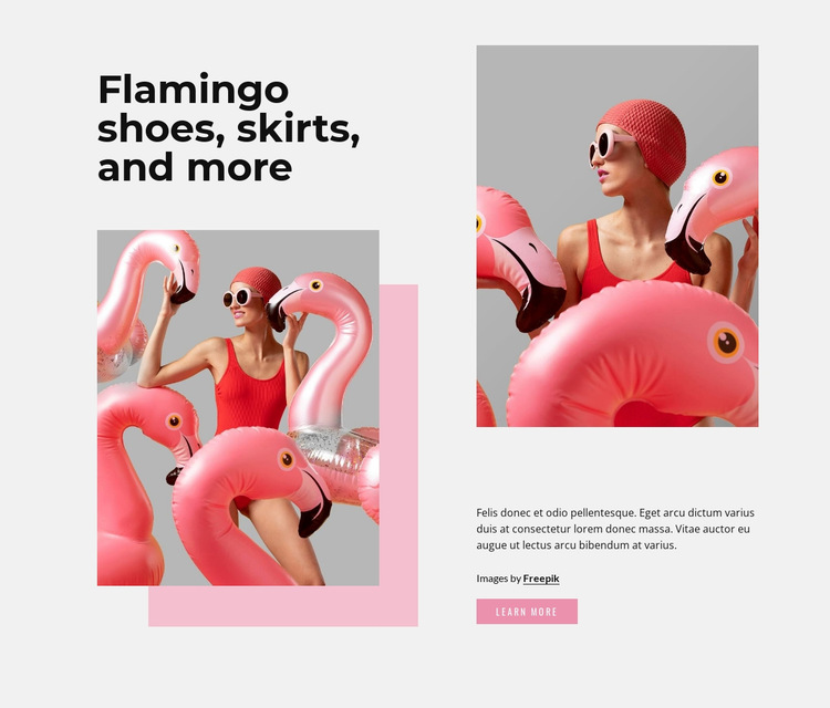 Flamingo fashion HTML5 Template