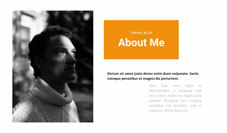 About my merits Website Design