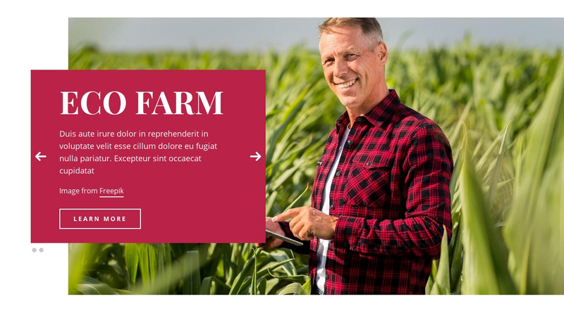 Eco Farm Web Page Design