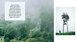 Life In The Forest HTML Website Template