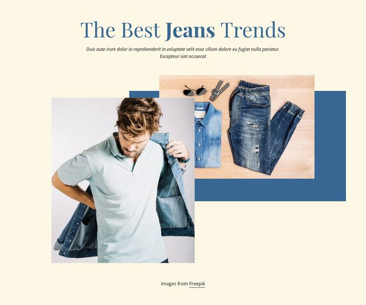 otte lige ud glemme The Best Jeans Trends Website Builder Templates