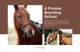 A Premier Boarding School Squarespace Review