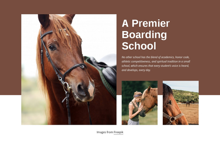 A Premier Boarding School WordPress Theme