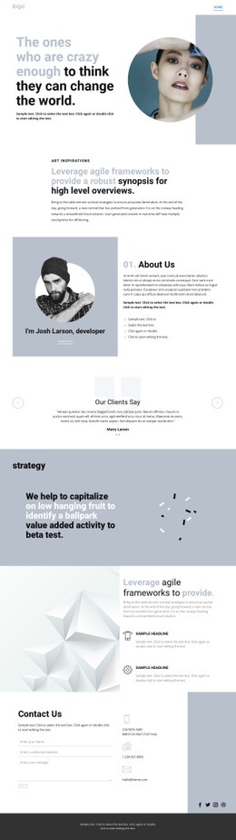 Artist biography Html Code Example