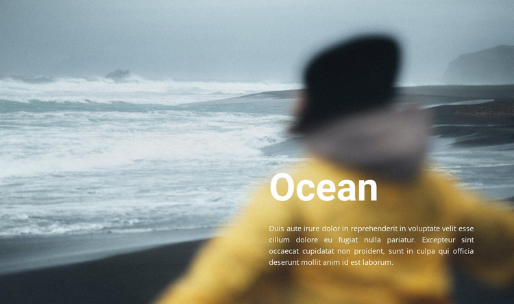 Ocean shore Website Mockup